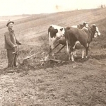 Já už to políčko nedoorám