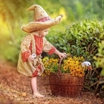 Kolem naší zahrádečky