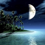 Měsíček jasně svítil